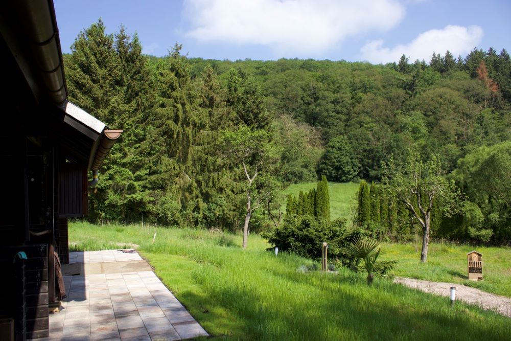 Blick vom Wohnhaus in die Natur